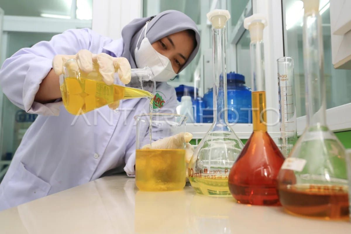 Minyak nilam Indonesia yang mengharumkan dunia