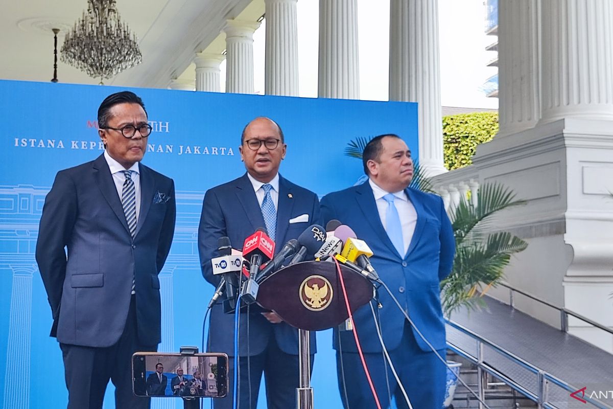 "Danantara effect", transformasi atau ilusi ekonomi megaholding BUMN