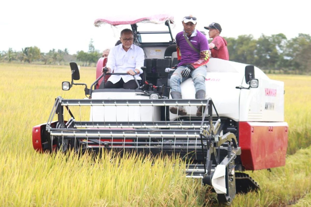 Mitigasi panen raya di musim hujan